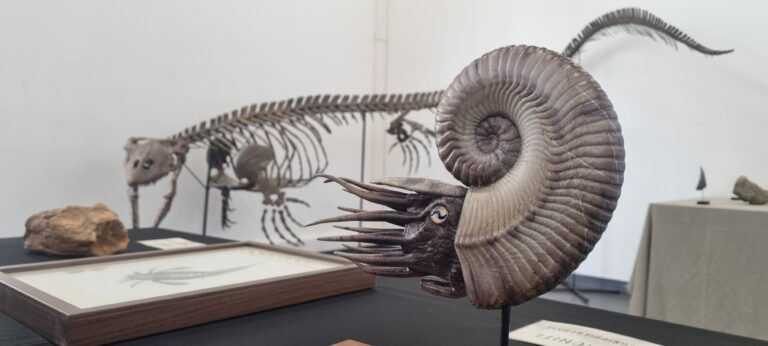 Exposition Arcana Temporis : 20000 temps sous les mers