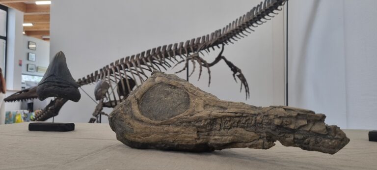 Exposition Arcana Temporis : 20000 temps sous les mers