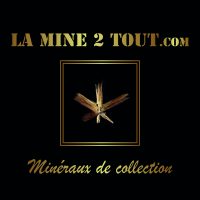 La Mine 2 Tout